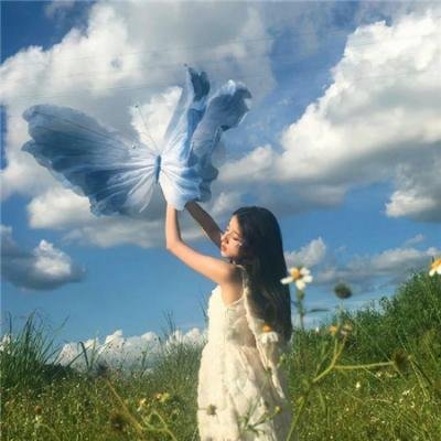 霸王龙:进化之旅